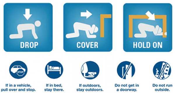 Drop. Cover. Hold On. Earthquake Safety Procedures